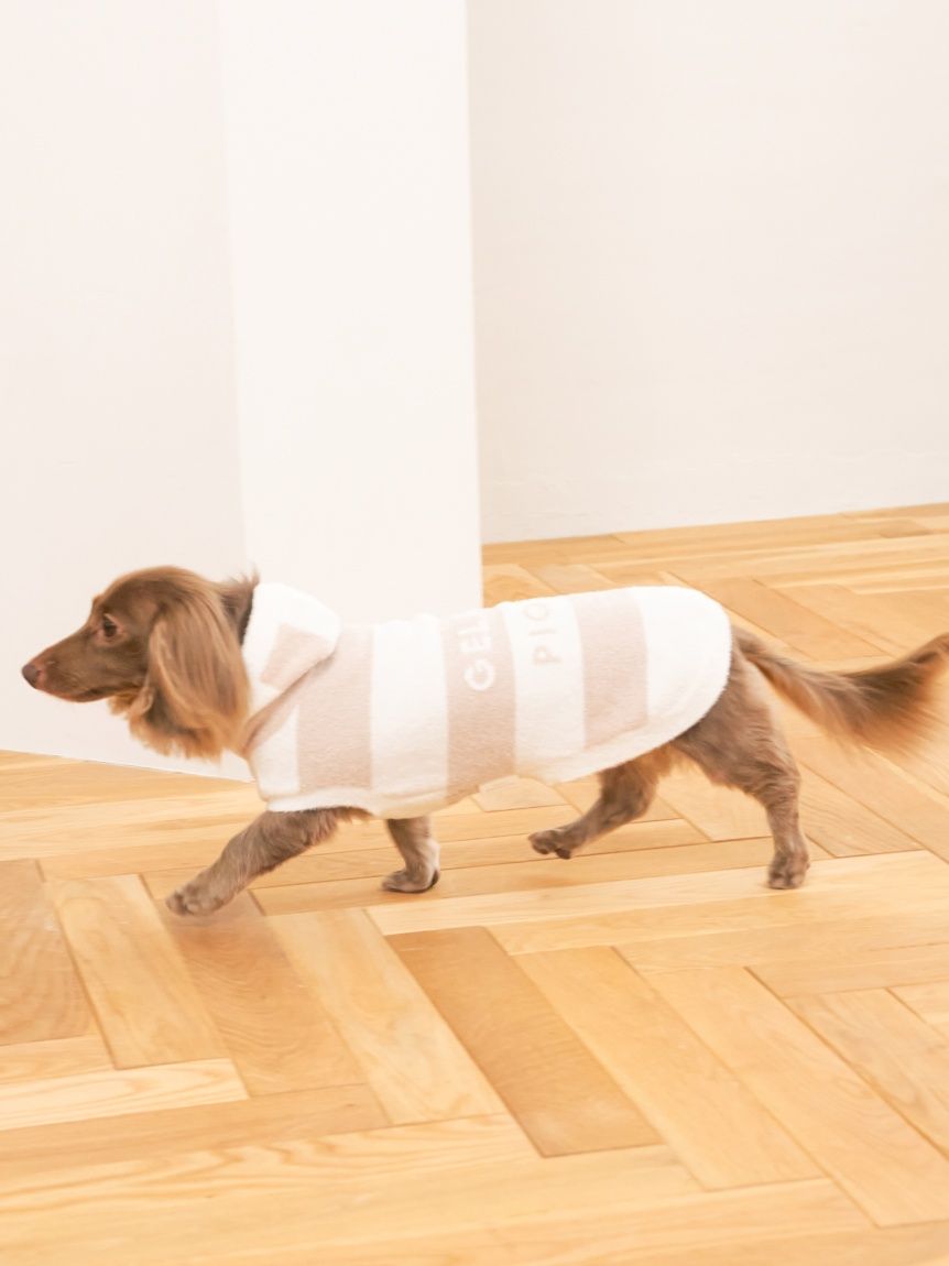 gelato pique（ジェラートピケ）【CAT&DOG】【販路限定商品】スムーズィー２ＢＤフーディー ダックスサイズ｜全4色