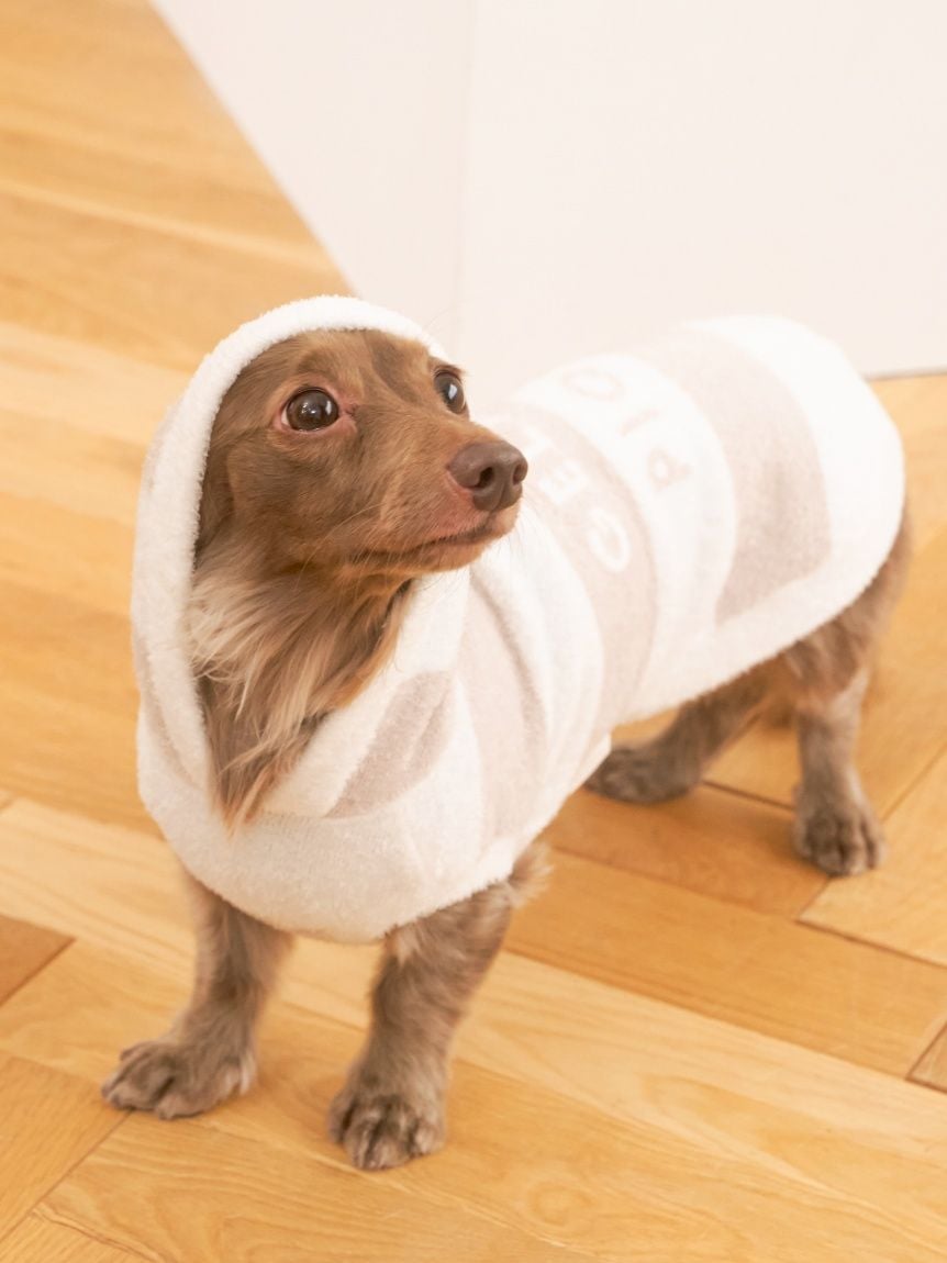 gelato pique（ジェラートピケ）【CAT&DOG】【販路限定商品】スムーズィー２ＢＤフーディー ダックスサイズ｜全4色