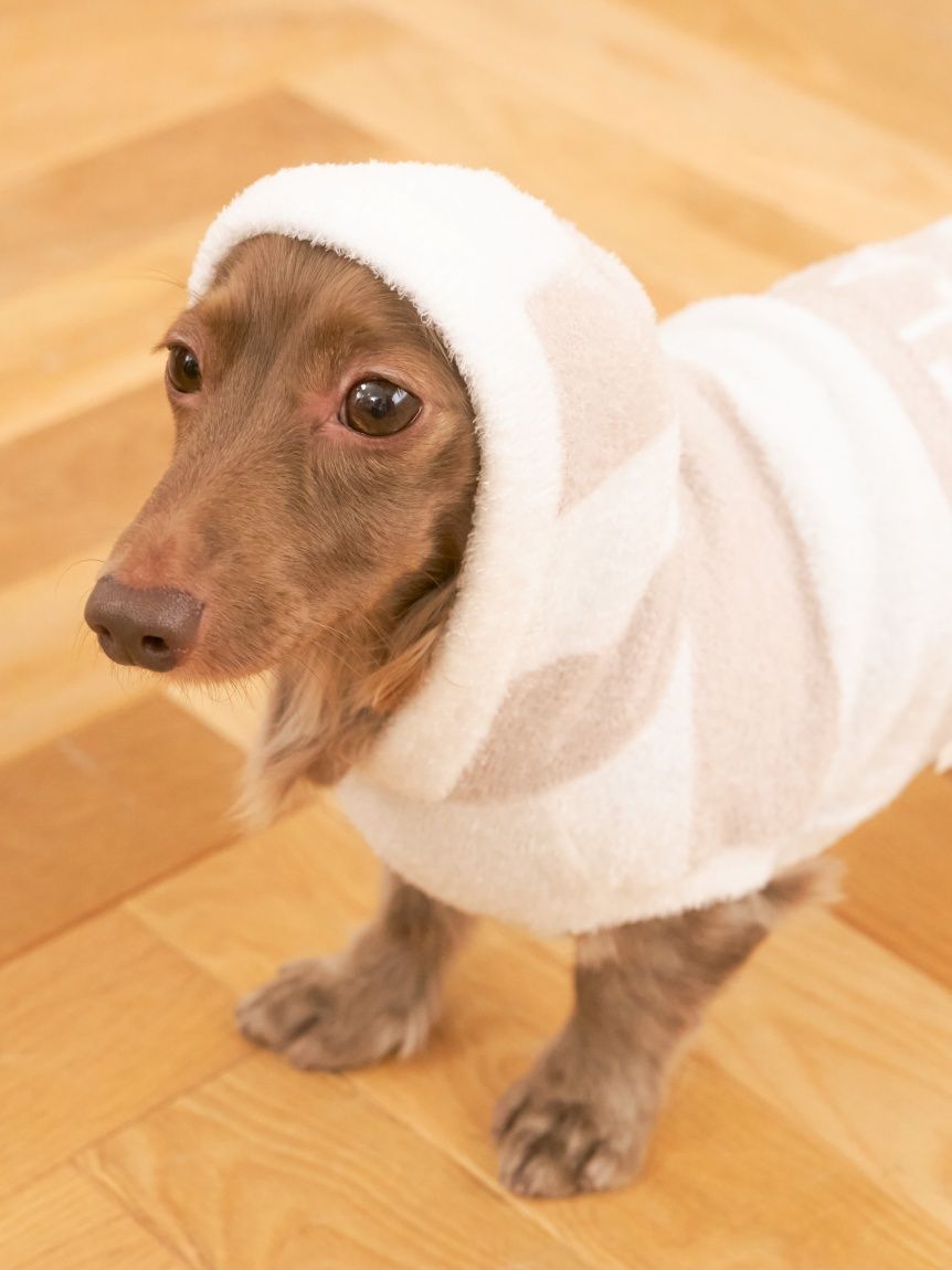 gelato pique（ジェラートピケ）【CAT&DOG】【販路限定商品】スムーズィー２ＢＤフーディー ダックスサイズ｜全4色