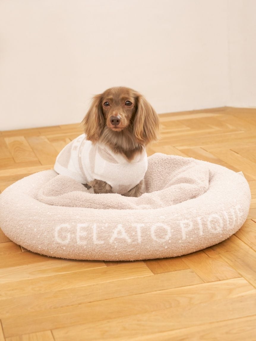 gelato pique（ジェラートピケ）【CAT&DOG】【販路限定商品】スムーズィー２ＢＤフーディー ダックスサイズ｜全4色