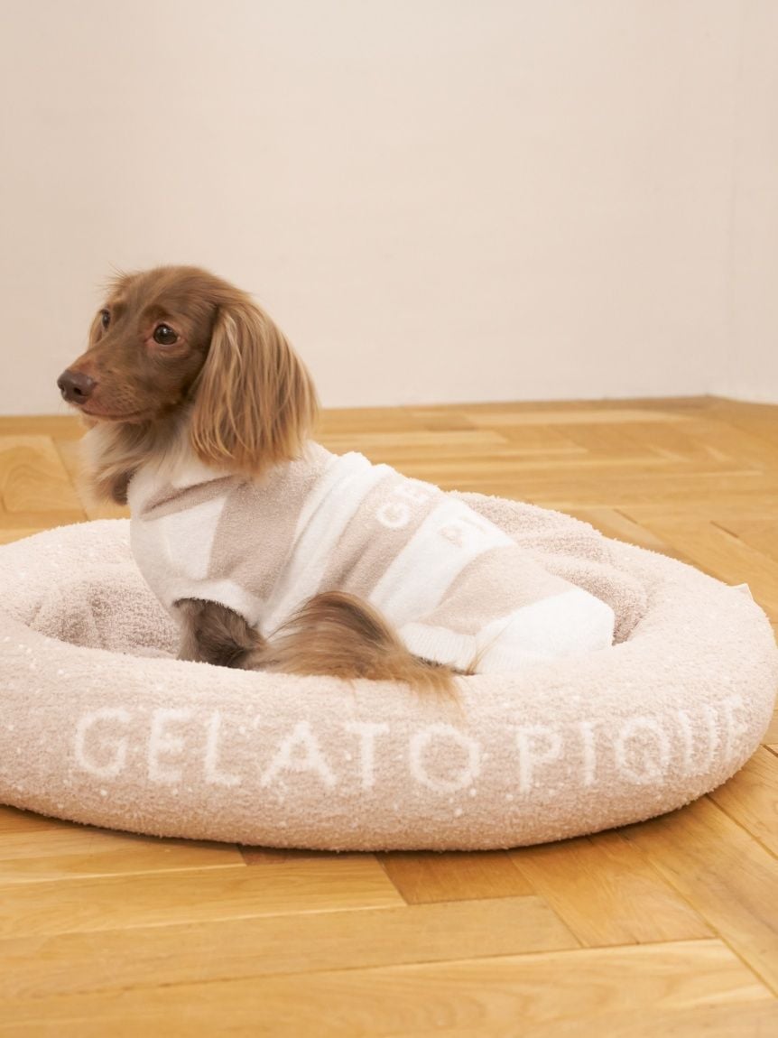 gelato pique（ジェラートピケ）【CAT&DOG】【販路限定商品】スムーズィー２ＢＤフーディー ダックスサイズ｜全4色