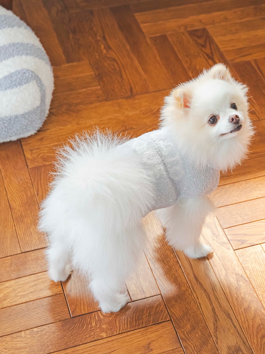 gelato pique（ジェラートピケ）【CAT&DOG】【販路限定商品】ベビモコネッププルオーバー｜全4色