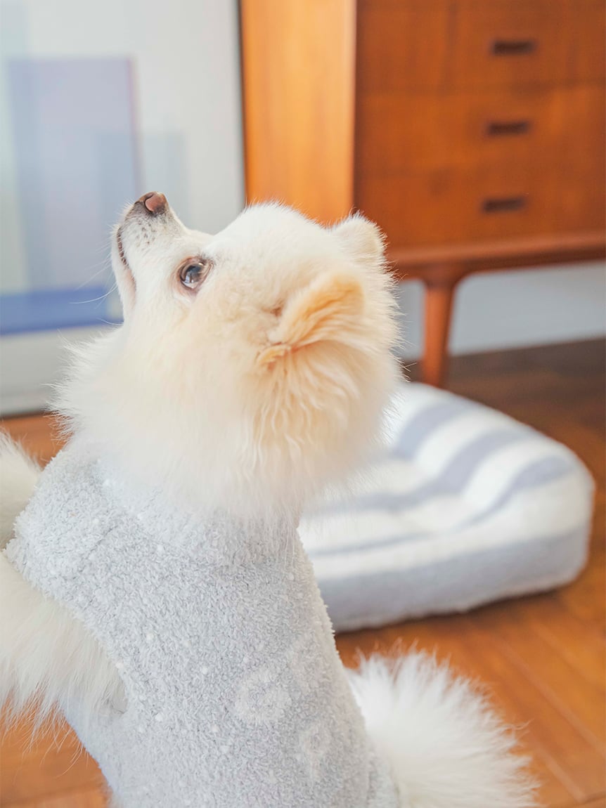 gelato pique（ジェラートピケ）【CAT&DOG】【販路限定商品】ベビモコネッププルオーバー｜全4色