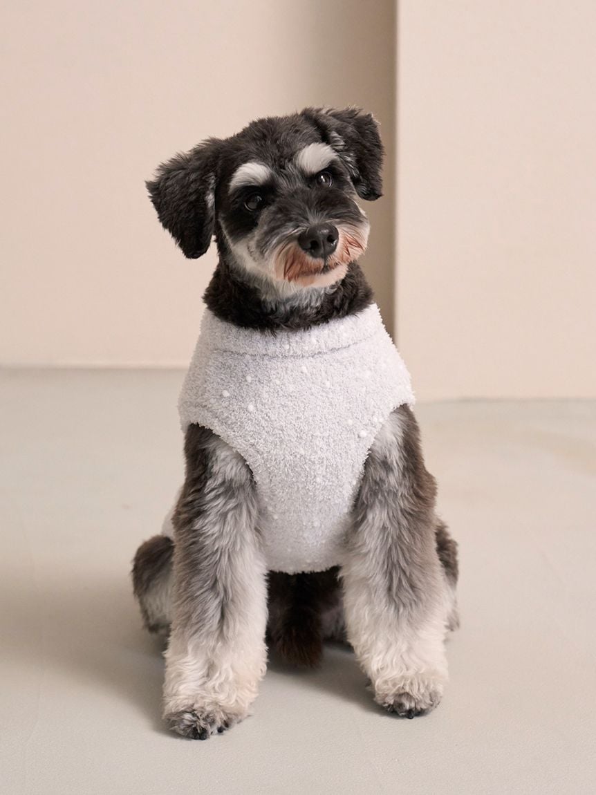 gelato pique（ジェラートピケ）【CAT&DOG】【販路限定商品】ベビモコネッププルオーバー ラージサイズ｜全4色