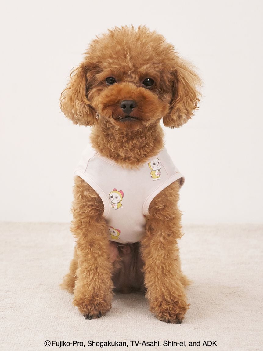 gelato pique（ジェラートピケ）【CAT&DOG】【販路限定商品】【ドラえもん】総柄プルオーバー