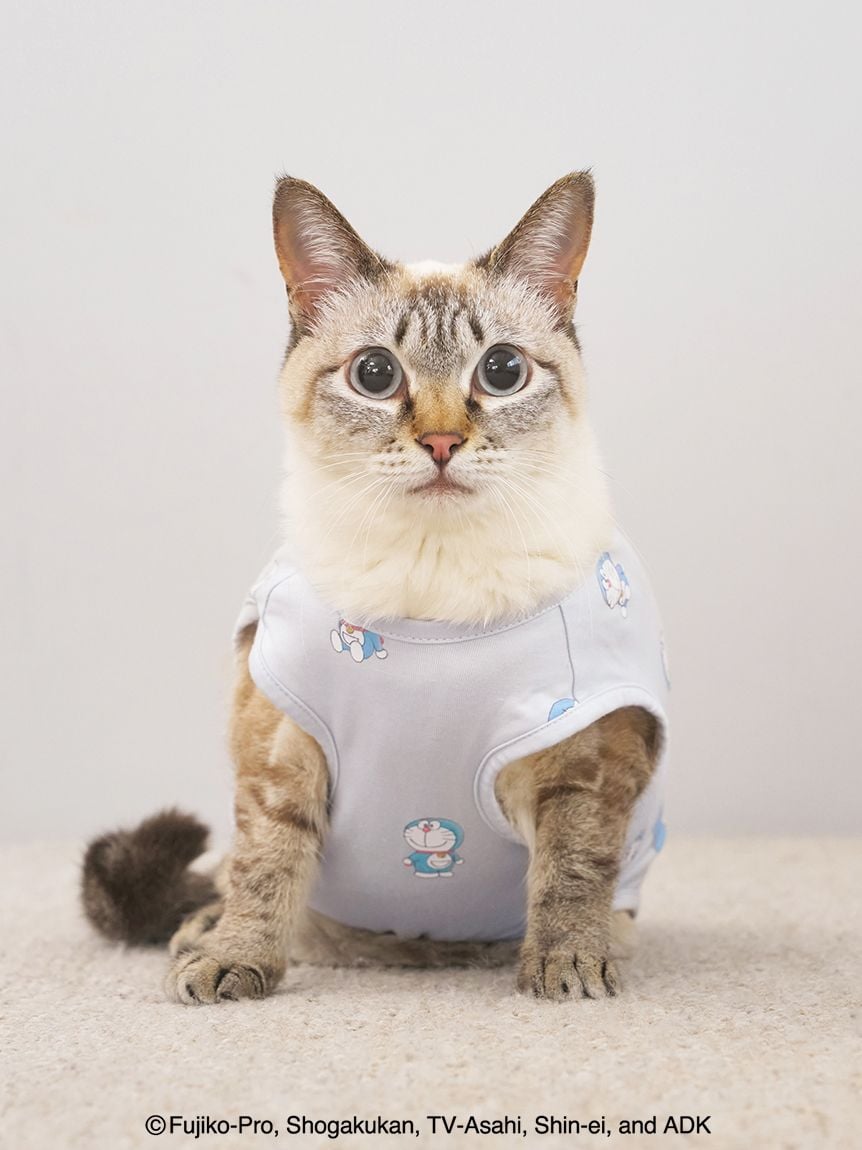 gelato pique（ジェラートピケ）【CAT&DOG】【販路限定商品】【ドラえもん】総柄プルオーバー