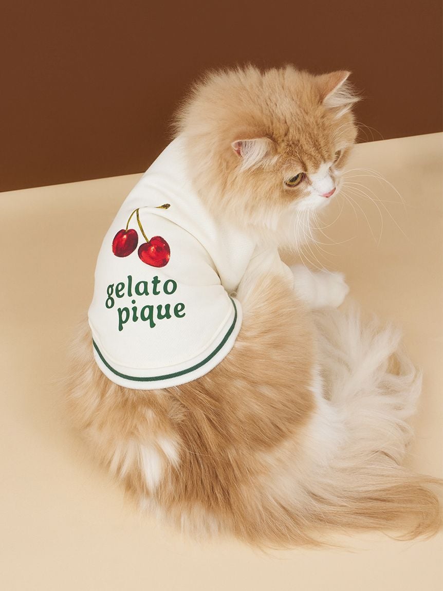 gelato pique(ジェラートピケ)【CAT&DOG】【販路限定商品】チェリー柄裏毛|全2色