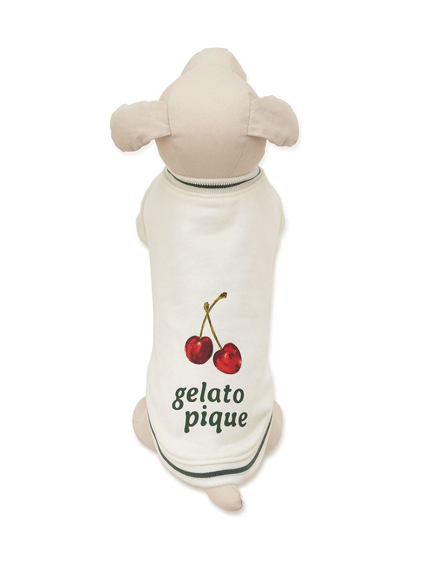 gelato pique(ジェラートピケ)【CAT&DOG】【販路限定商品】チェリー柄裏毛|全2色