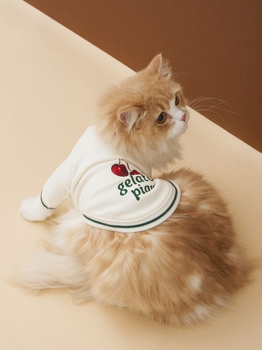 gelato pique(ジェラートピケ)【CAT&DOG】【販路限定商品】チェリー柄裏毛|全2色