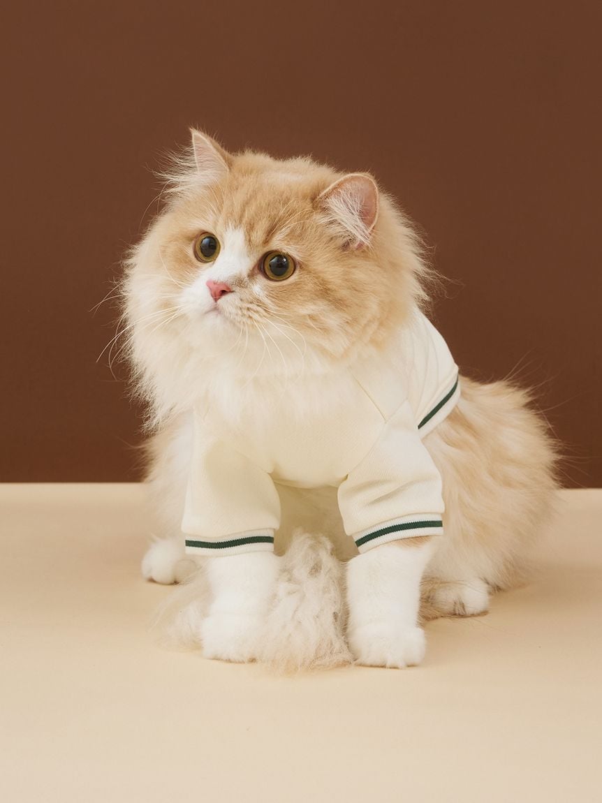 gelato pique(ジェラートピケ)【CAT&DOG】【販路限定商品】チェリー柄裏毛|全2色
