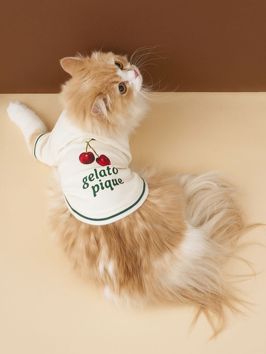 gelato pique(ジェラートピケ)【CAT&DOG】【販路限定商品】チェリー柄裏毛|全2色