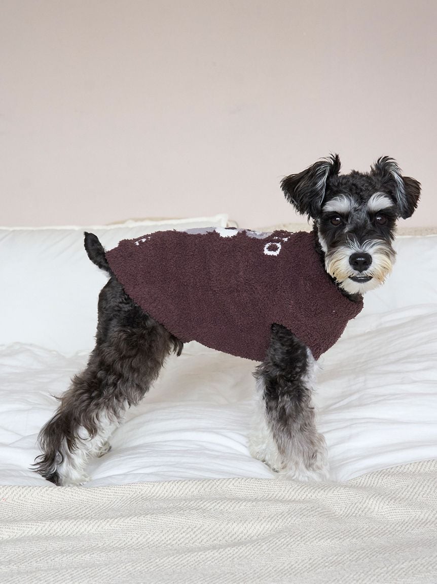 gelato pique（ジェラートピケ）【CAT&DOG】【販路限定商品】ベビモコシュナウザージャガードプルオーバー｜全2色