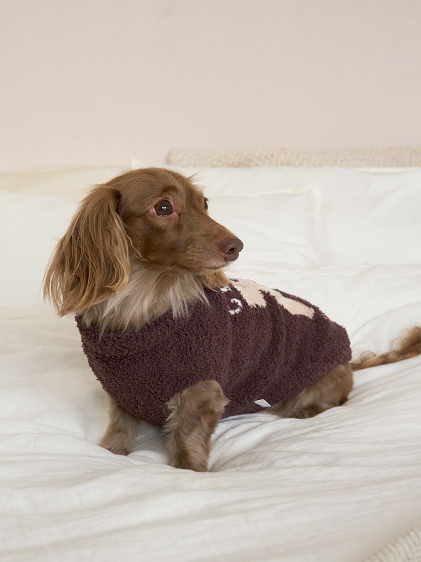 gelato pique（ジェラートピケ）【CAT&DOG】【販路限定商品】ベビモコダックスフンドジャガードプルオーバー｜全2色