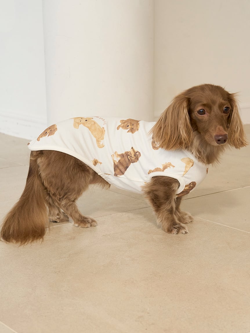 gelato pique（ジェラートピケ）【CAT&DOG】【販路限定商品】ダックスフンド柄カットソープルオーバー｜全2色