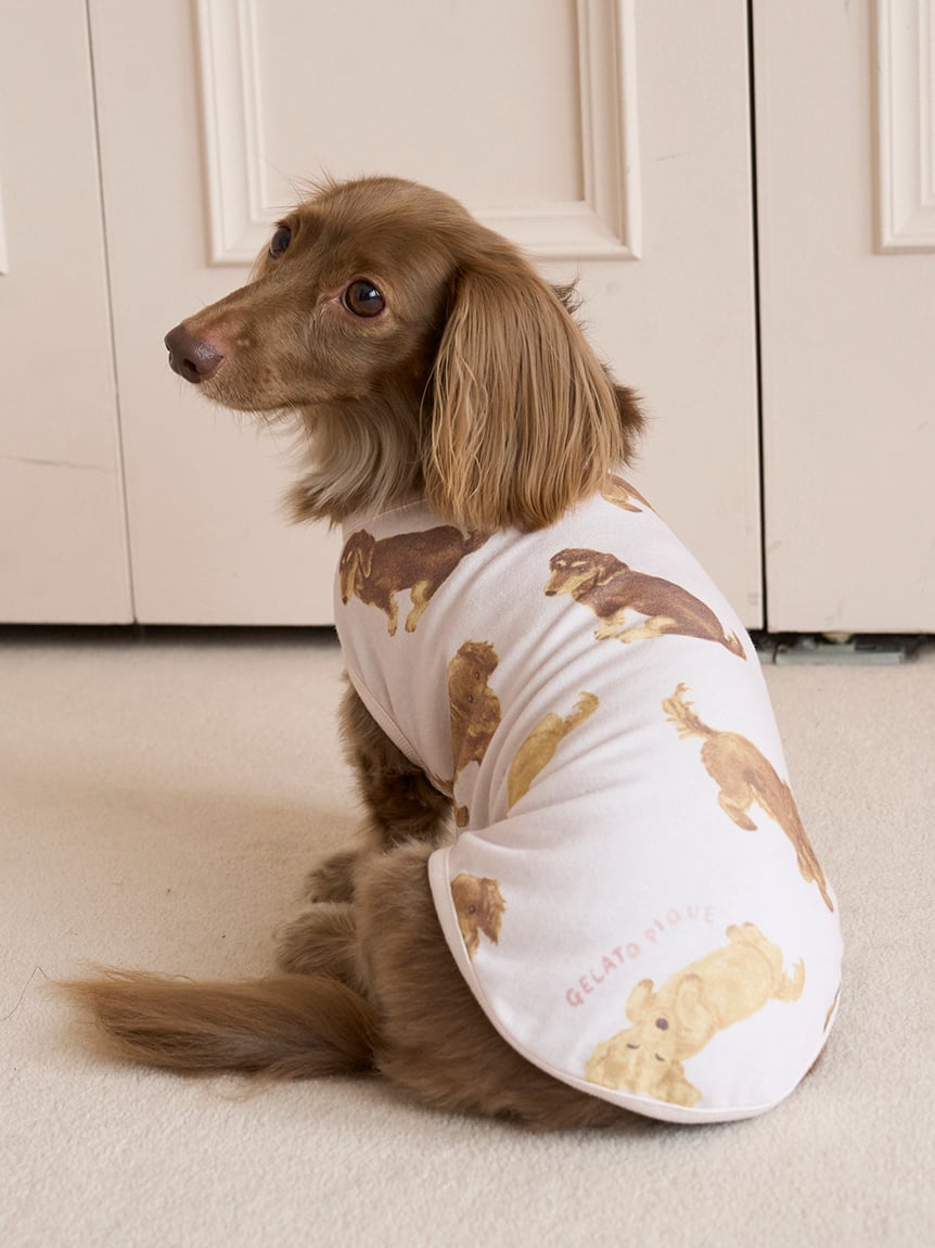 gelato pique（ジェラートピケ）【CAT&DOG】【販路限定商品】ダックスフンド柄カットソープルオーバー｜全2色