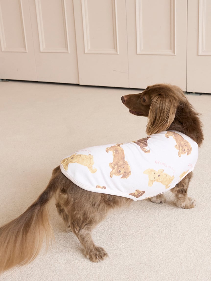 gelato pique（ジェラートピケ）【CAT&DOG】【販路限定商品】ダックスフンド柄カットソープルオーバー｜全2色