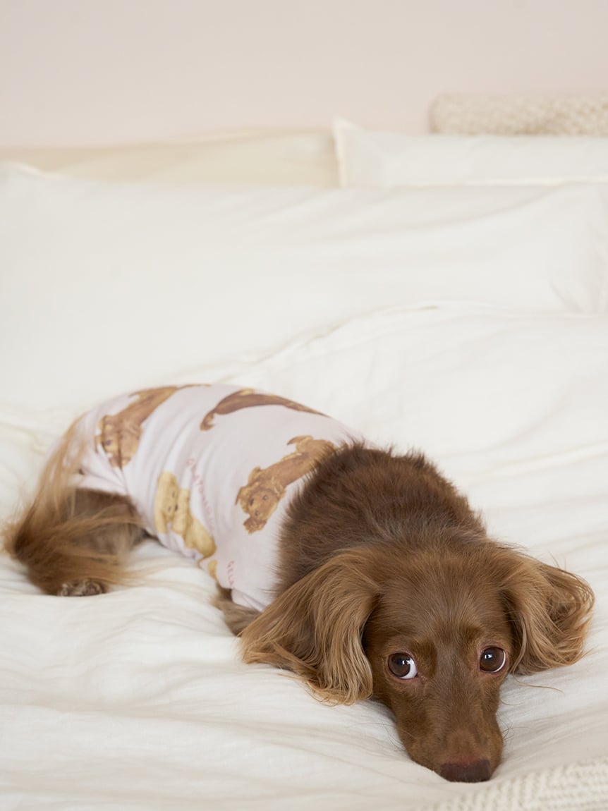 gelato pique（ジェラートピケ）【CAT&DOG】【販路限定商品】ダックスフンド柄カットソープルオーバー｜全2色