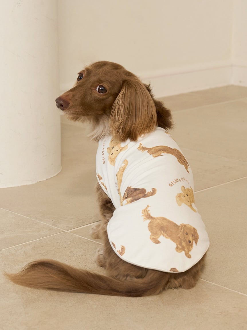 gelato pique（ジェラートピケ）【CAT&DOG】【販路限定商品】ダックスフンド柄カットソープルオーバー｜全2色