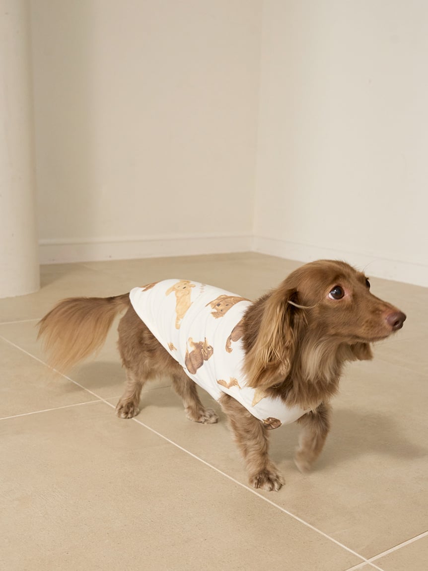gelato pique（ジェラートピケ）【CAT&DOG】【販路限定商品】ダックスフンド柄カットソープルオーバー｜全2色