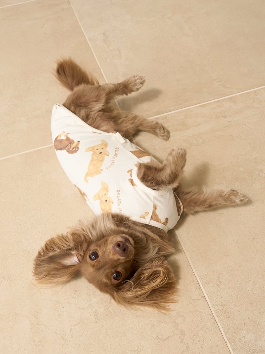 gelato pique（ジェラートピケ）【CAT&DOG】【販路限定商品】ダックスフンド柄カットソープルオーバー｜全2色