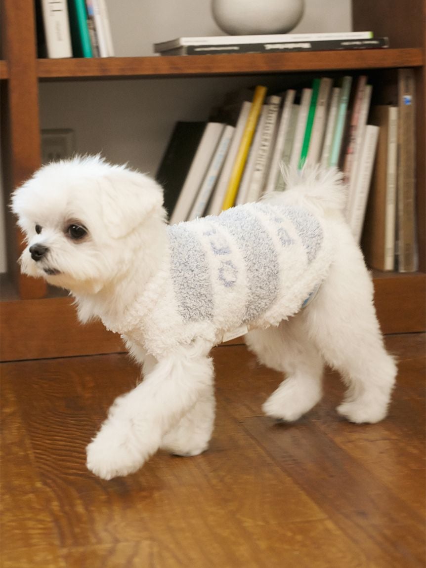 gelato pique(ジェラートピケ)【CAT&DOG】【販路限定商品】ジェラートメランジ2ボーダープルオーバー|全3色