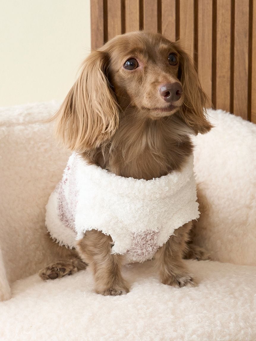 gelato pique(ジェラートピケ)【CAT&DOG】【販路限定商品】ジェラートメランジ2ボーダープルオーバー|全3色