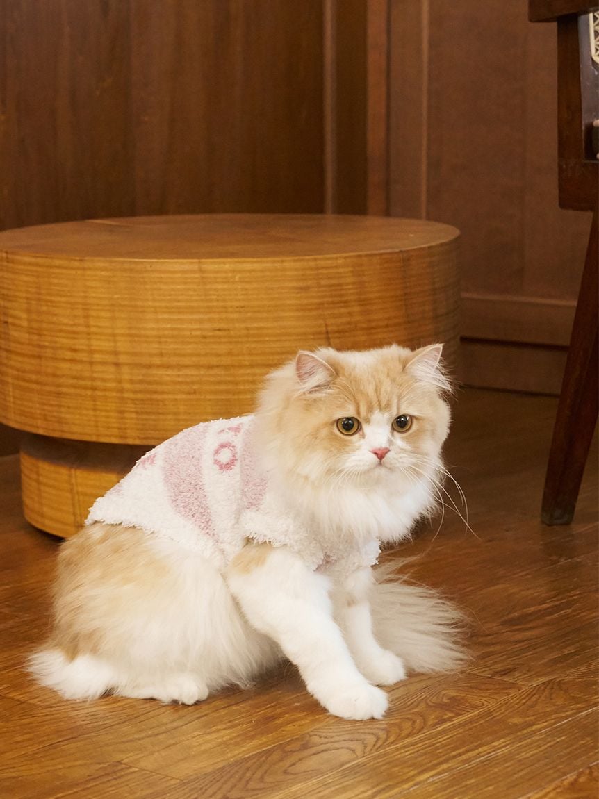 gelato pique(ジェラートピケ)【CAT&DOG】【販路限定商品】ジェラートメランジ2ボーダープルオーバー|全3色