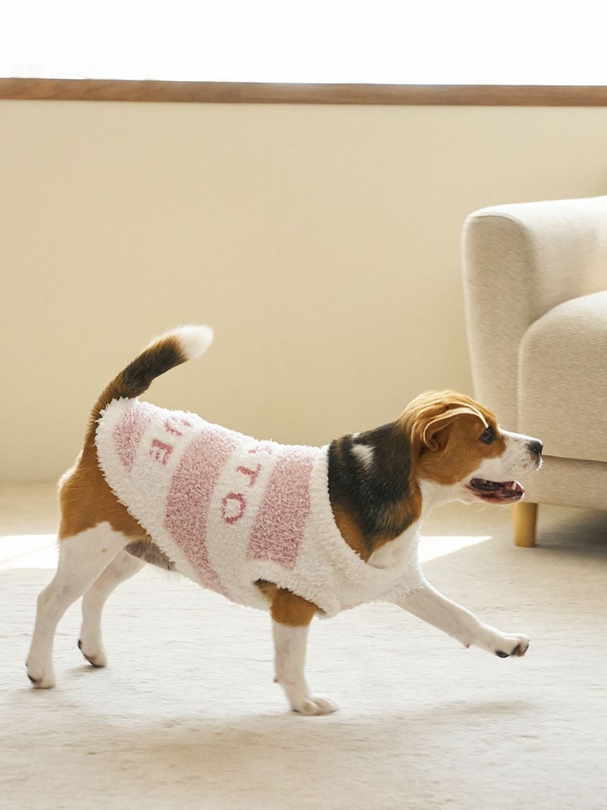 gelato pique(ジェラートピケ)【CAT&DOG】【販路限定商品】ジェラートメランジ2ボーダープルオーバー ラージサイズ|全3色