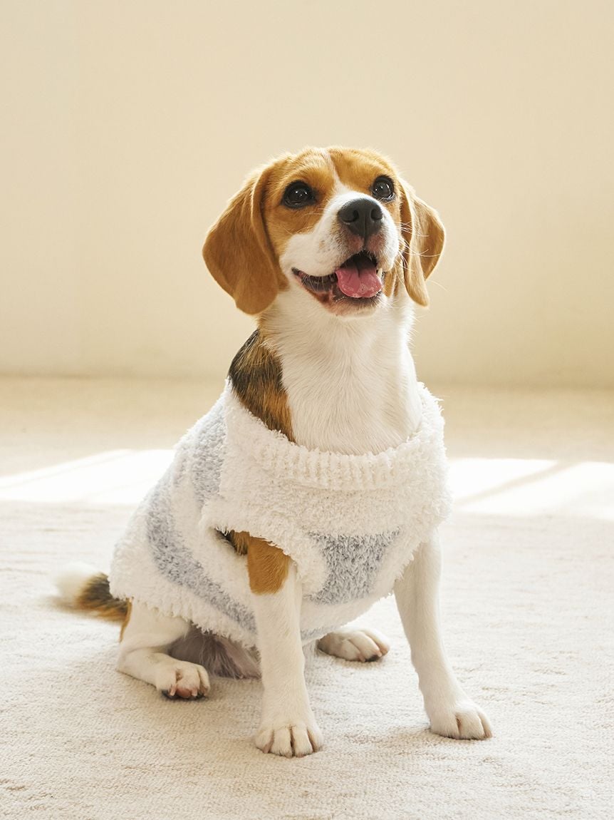 gelato pique(ジェラートピケ)【CAT&DOG】【販路限定商品】ジェラートメランジ2ボーダープルオーバー ラージサイズ|全3色