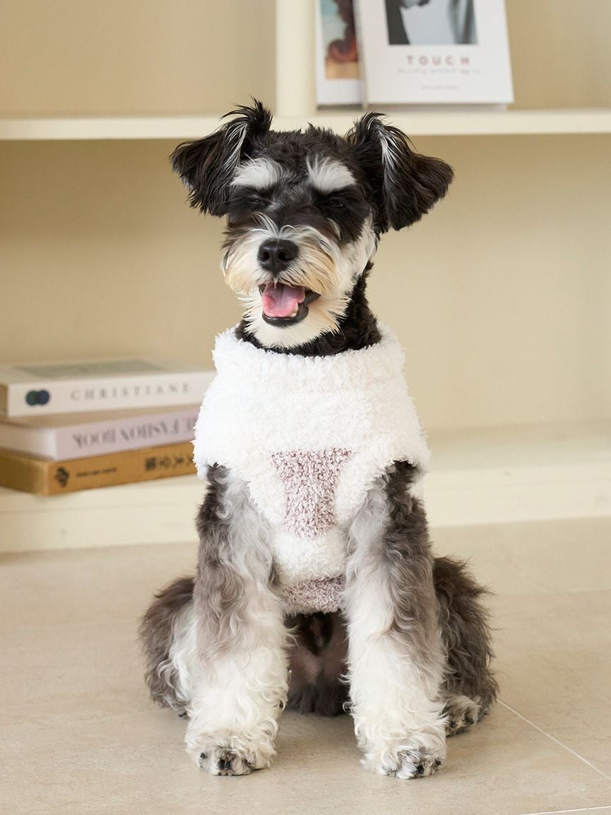 gelato pique(ジェラートピケ)【CAT&DOG】【販路限定商品】ジェラートメランジ2ボーダープルオーバー ラージサイズ|全3色