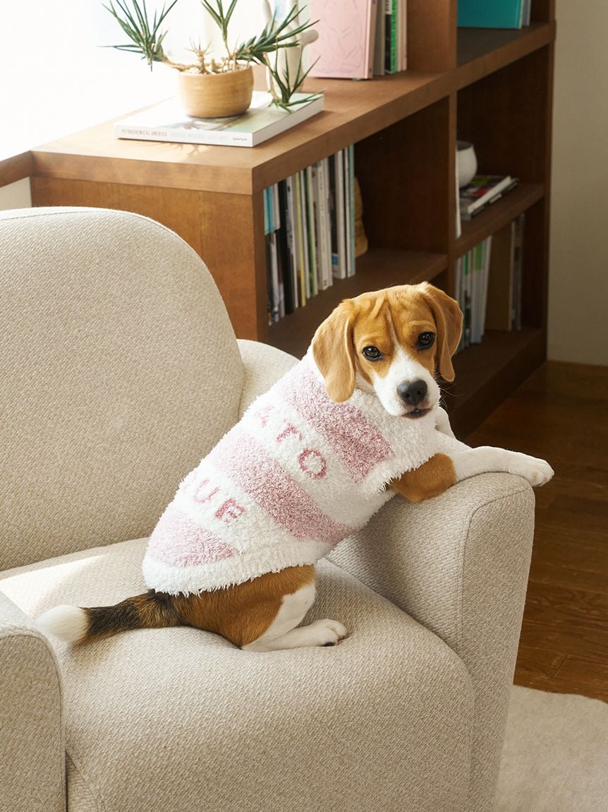 gelato pique(ジェラートピケ)【CAT&DOG】【販路限定商品】ジェラートメランジ2ボーダープルオーバー ラージサイズ|全3色