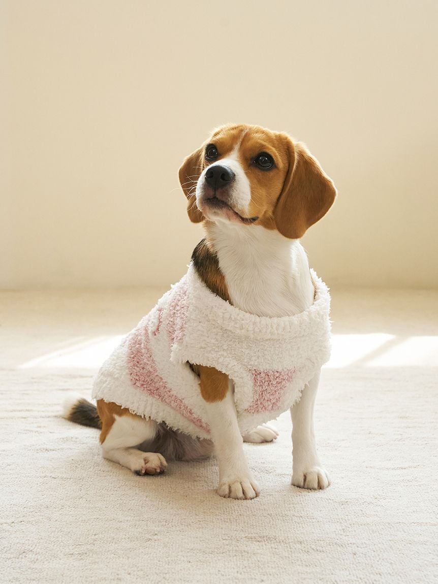 gelato pique(ジェラートピケ)【CAT&DOG】【販路限定商品】ジェラートメランジ2ボーダープルオーバー ラージサイズ|全3色