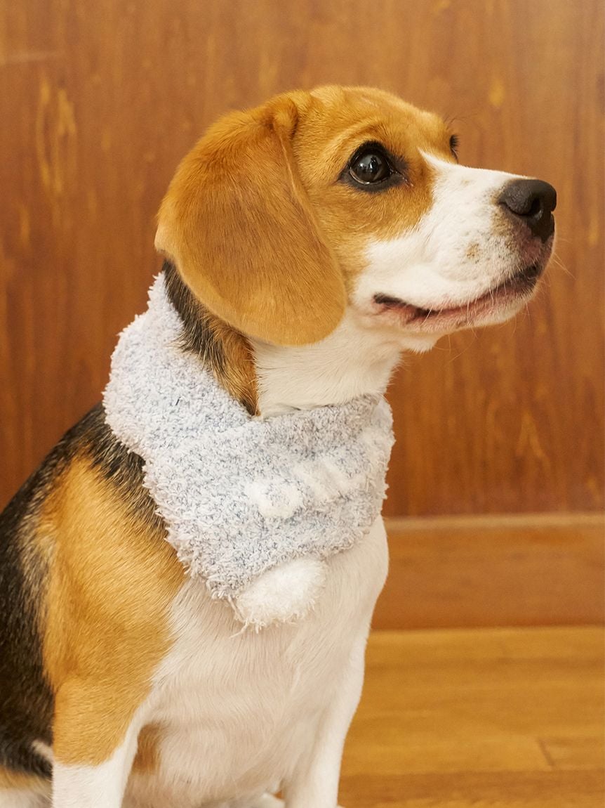 gelato pique(ジェラートピケ)【CAT&DOG】【販路限定商品】ジェラートメランジマフラー|全3色