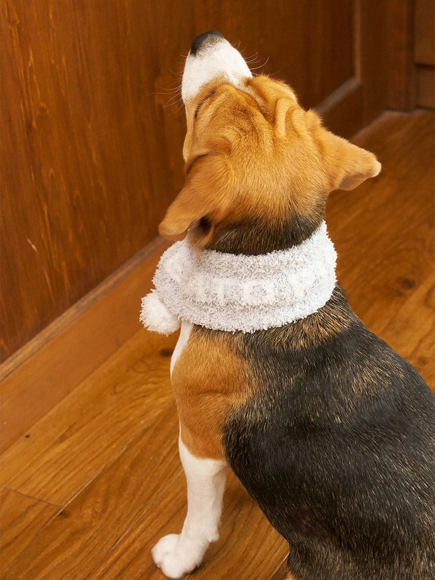 gelato pique(ジェラートピケ)【CAT&DOG】【販路限定商品】ジェラートメランジマフラー|全3色