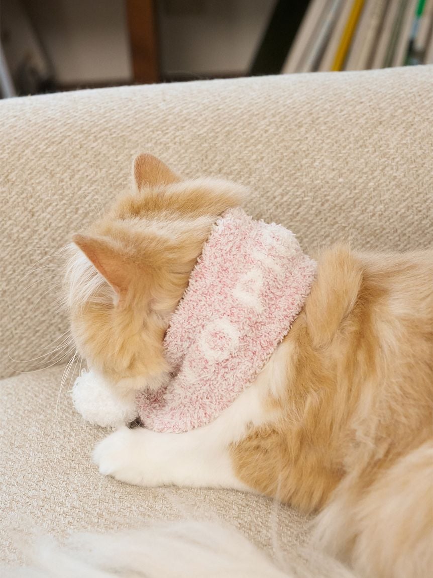 gelato pique(ジェラートピケ)【CAT&DOG】【販路限定商品】ジェラートメランジマフラー|全3色