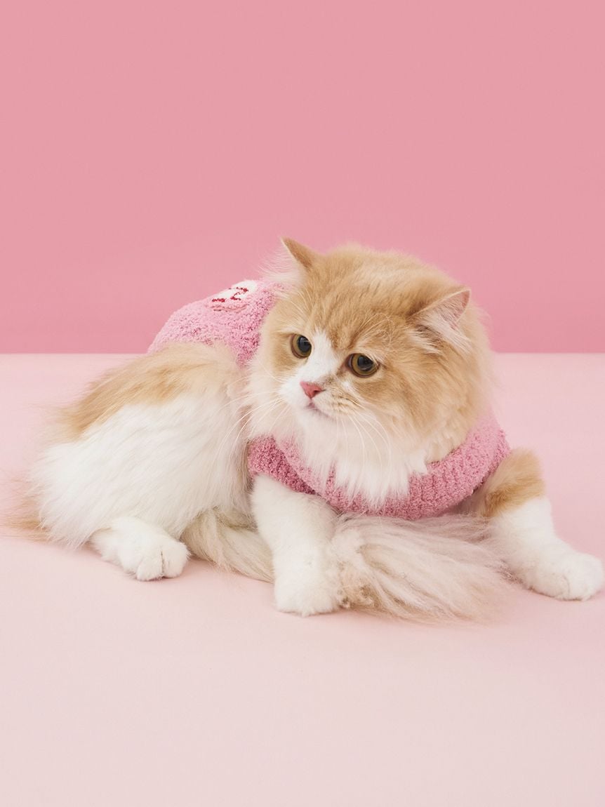 gelato pique（ジェラートピケ）【CAT&DOG】【販路限定商品】ベビモコベアサガラ刺繍プルオーバー｜全3色