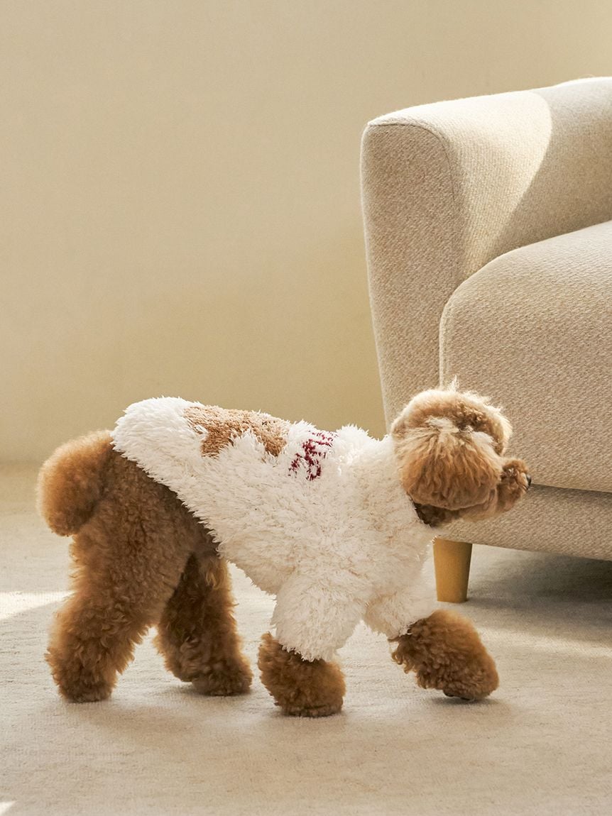 gelato pique(ジェラートピケ)【CAT&DOG】【販路限定商品】【HOLIDAY】ジェラートスノーベアジャガードプルオーバー|全2色