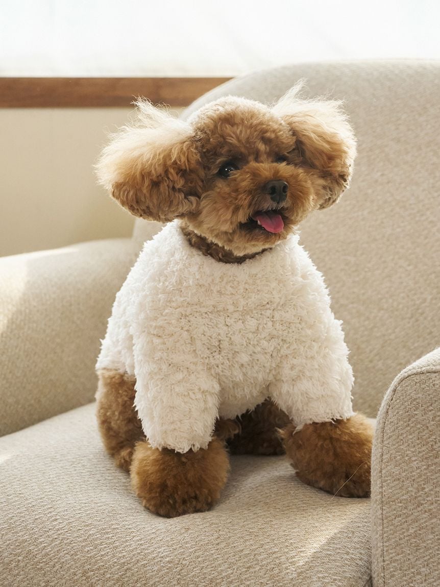 gelato pique(ジェラートピケ)【CAT&DOG】【販路限定商品】【HOLIDAY】ジェラートスノーベアジャガードプルオーバー|全2色