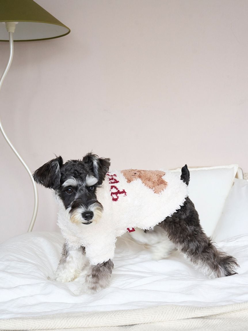 gelato pique(ジェラートピケ)【CAT&DOG】【販路限定商品】【HOLIDAY】ジェラートスノーベアジャガードプルオーバー|全2色