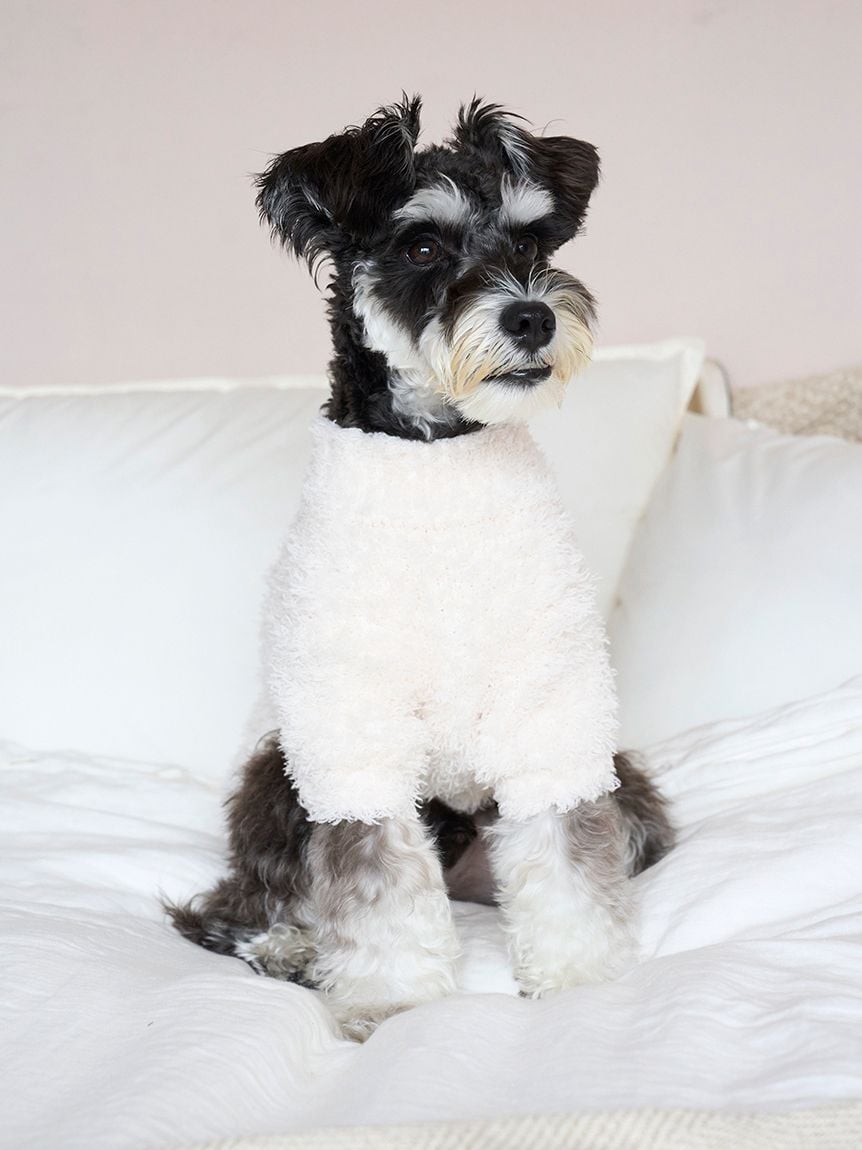 gelato pique(ジェラートピケ)【CAT&DOG】【販路限定商品】【HOLIDAY】ジェラートスノーベアジャガードプルオーバー|全2色