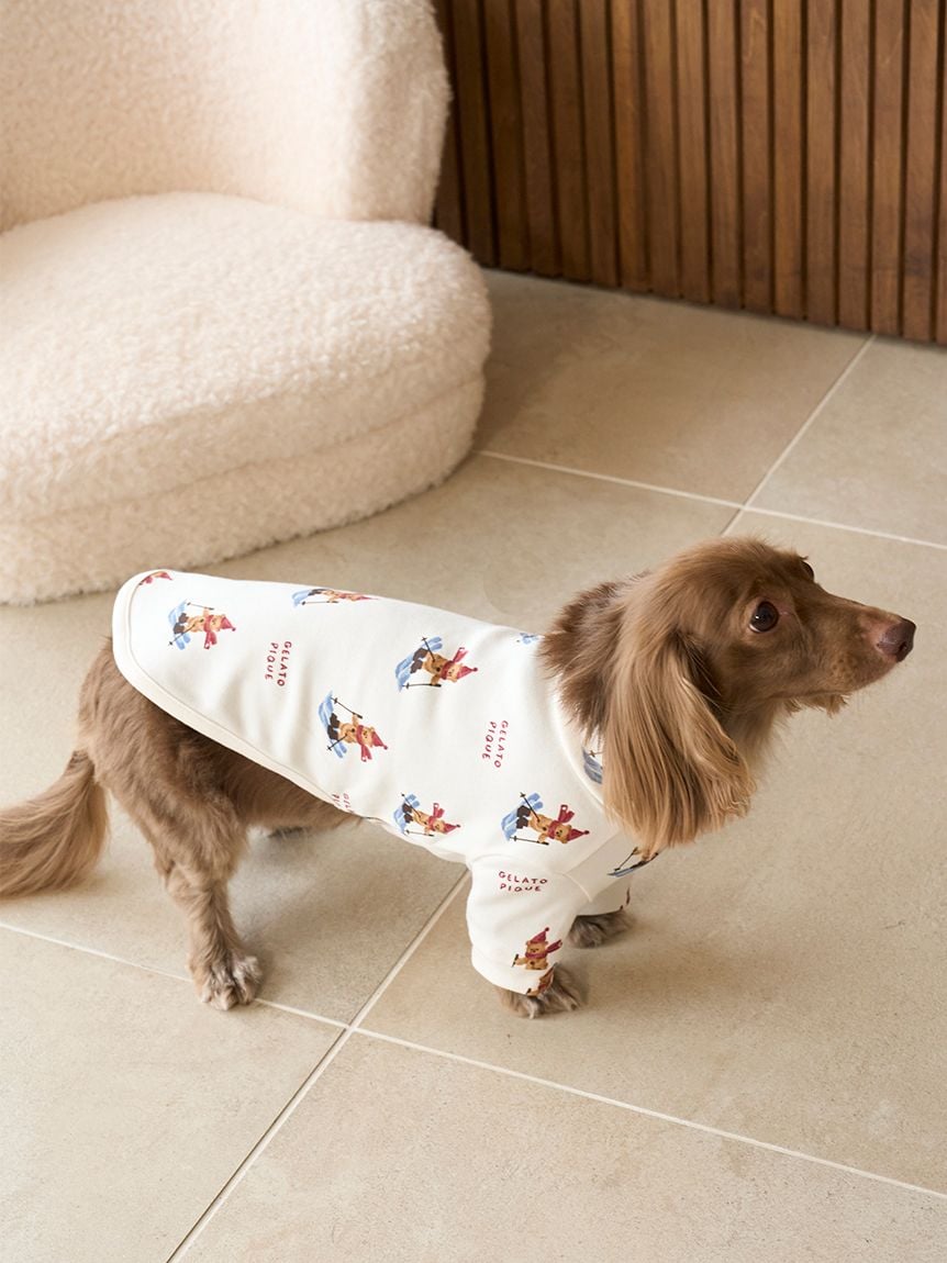 gelato pique(ジェラートピケ)【CAT&DOG】【販路限定商品】【HOLIDAY】スキーベア柄カットソー