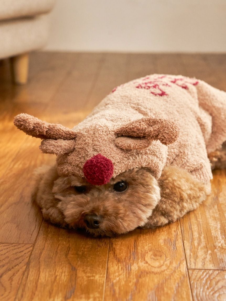 gelato pique（ジェラートピケ）【CAT&DOG】【販路限定商品】【HOLIDAY】トナカイケープ