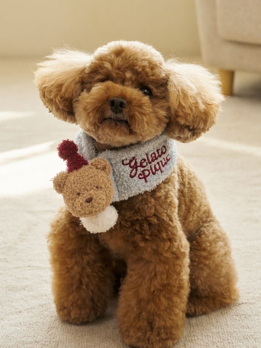 gelato pique(ジェラートピケ)【CAT&DOG】【販路限定商品】【HOLIDAY】ベビモコベアマフラー|全2色