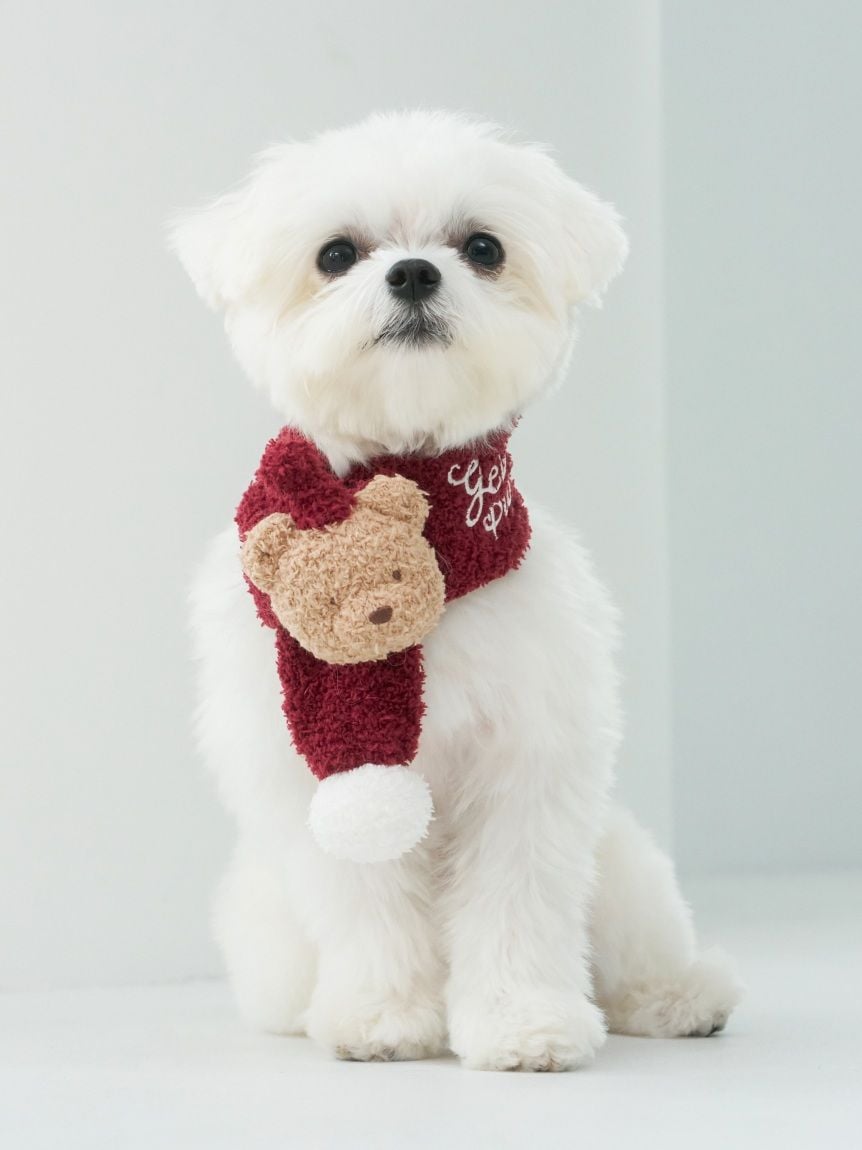 gelato pique(ジェラートピケ)【CAT&DOG】【販路限定商品】【HOLIDAY】ベビモコベアマフラー|全2色