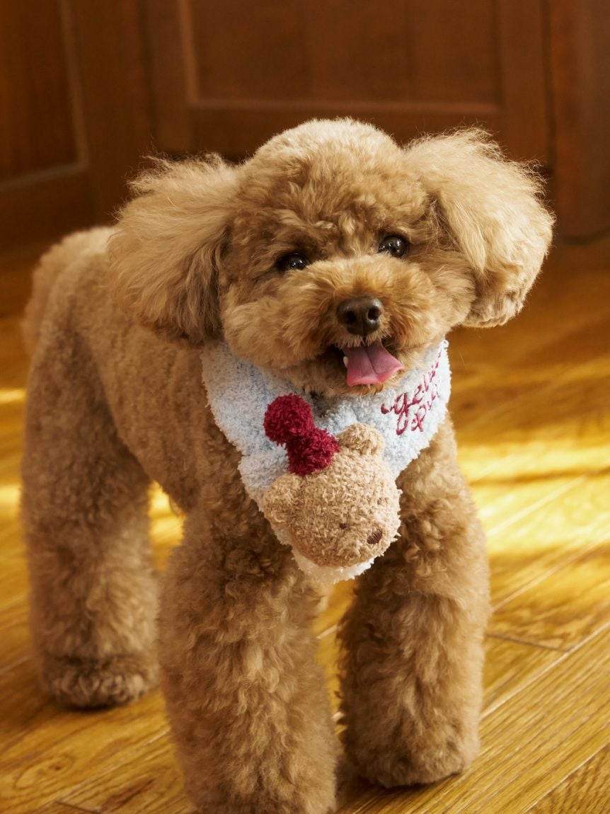 gelato pique(ジェラートピケ)【CAT&DOG】【販路限定商品】【HOLIDAY】ベビモコベアマフラー|全2色