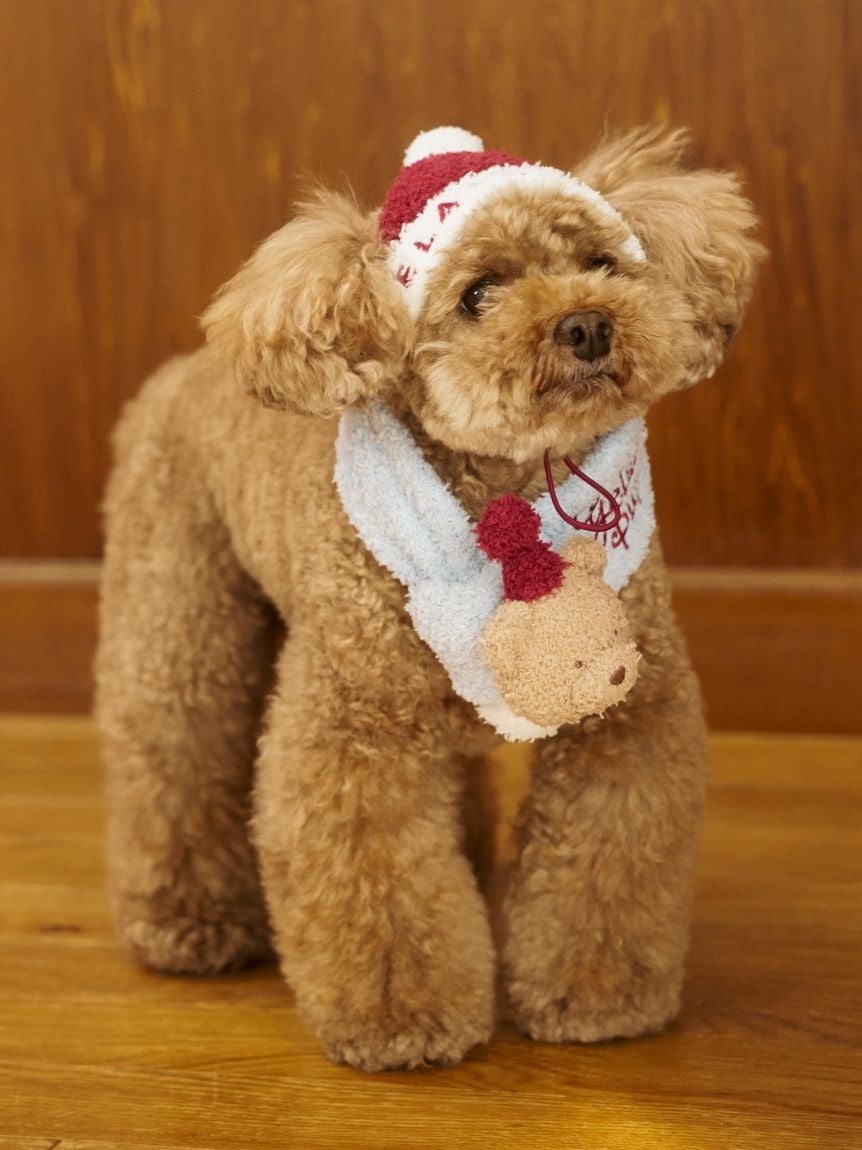 gelato pique(ジェラートピケ)【CAT&DOG】【販路限定商品】【HOLIDAY】ベビモコベアマフラー|全2色