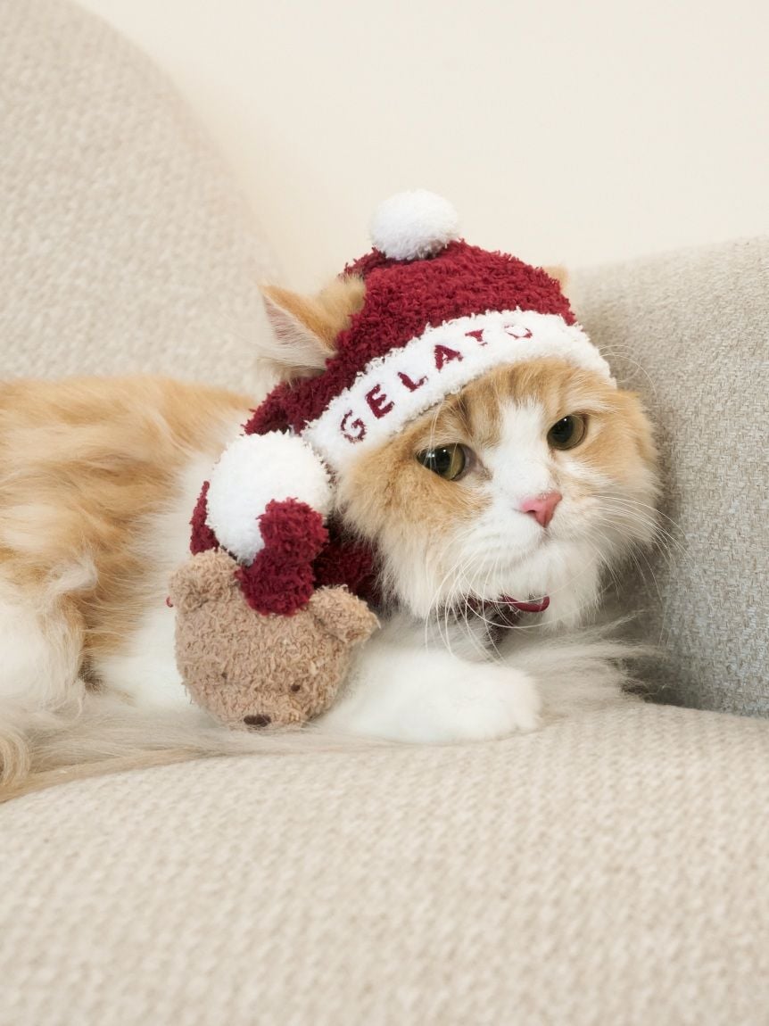 gelato pique(ジェラートピケ)【CAT&DOG】【販路限定商品】【HOLIDAY】ベビモコベアマフラー|全2色