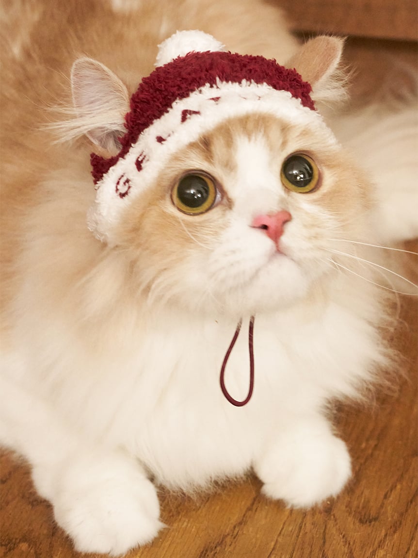 gelato pique（ジェラートピケ）【CAT&DOG】【販路限定商品】【HOLIDAY】ベビモコサンタニットキャップ