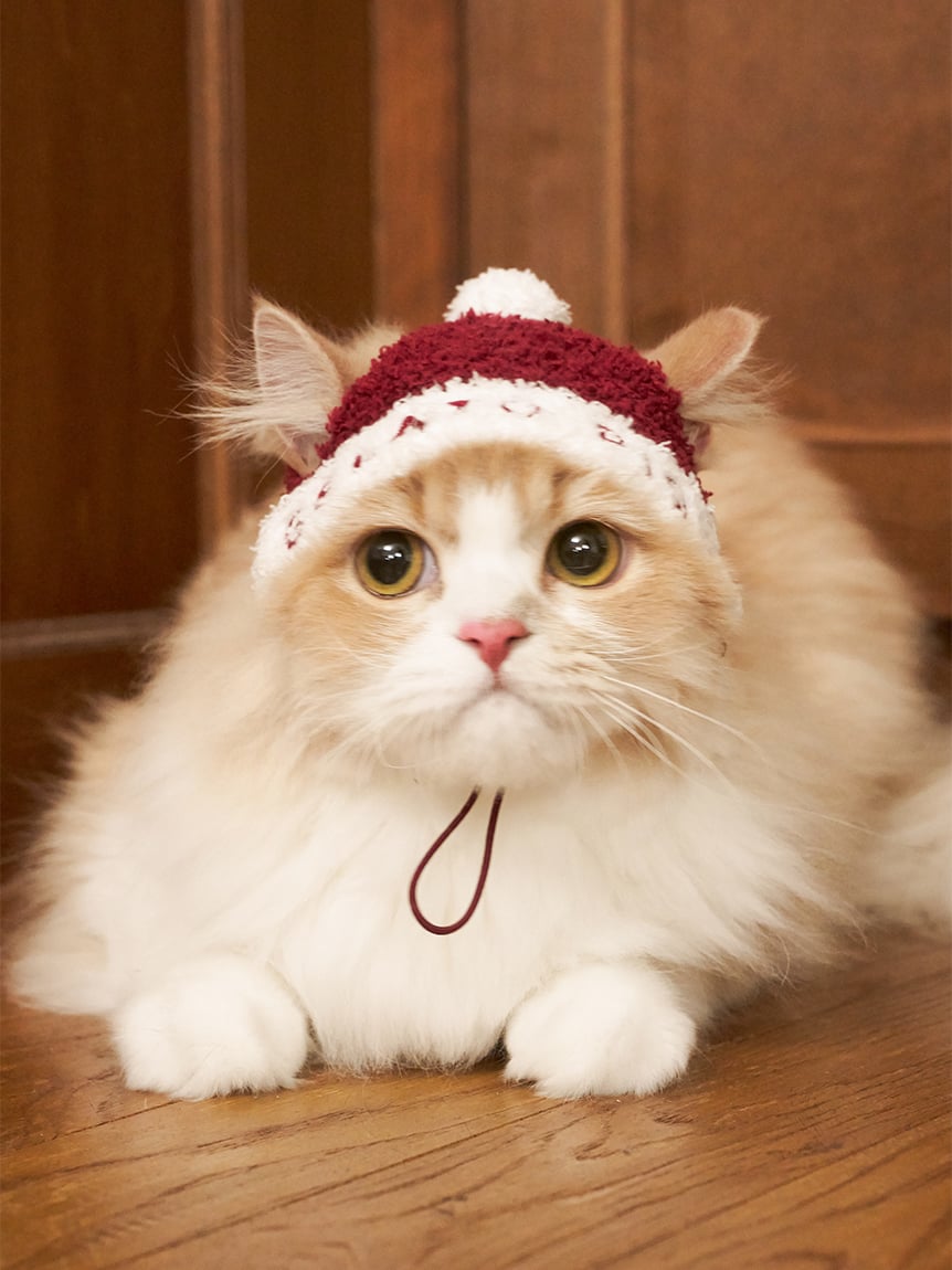 gelato pique（ジェラートピケ）【CAT&DOG】【販路限定商品】【HOLIDAY】ベビモコサンタニットキャップ
