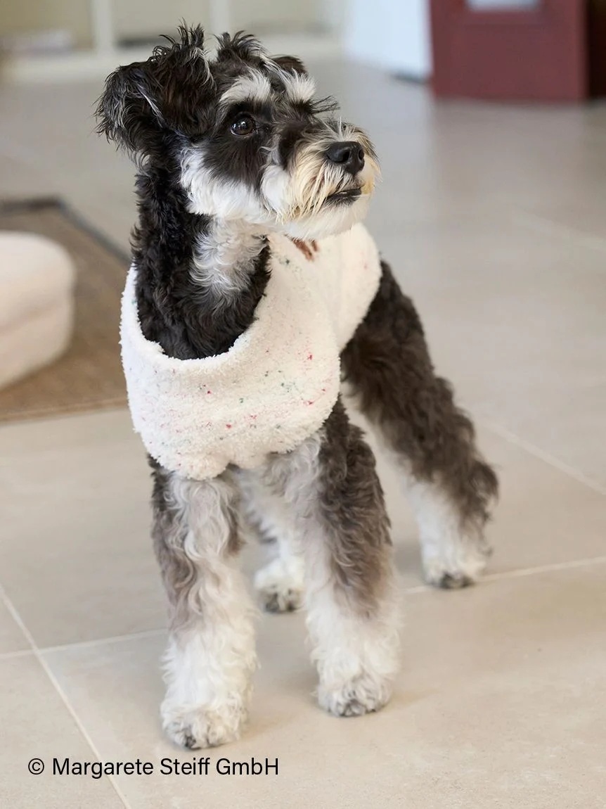 gelato pique（ジェラートピケ）【CAT&DOG】【販路限定商品】【Steiff】ハイネックプルオーバー｜全3色